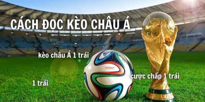 Bí kíp độc quyền để ăn tiền nhà cái trong kèo chấp 1 trái