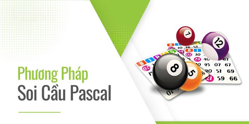 Cách sử dụng soi Cầu Pascale
